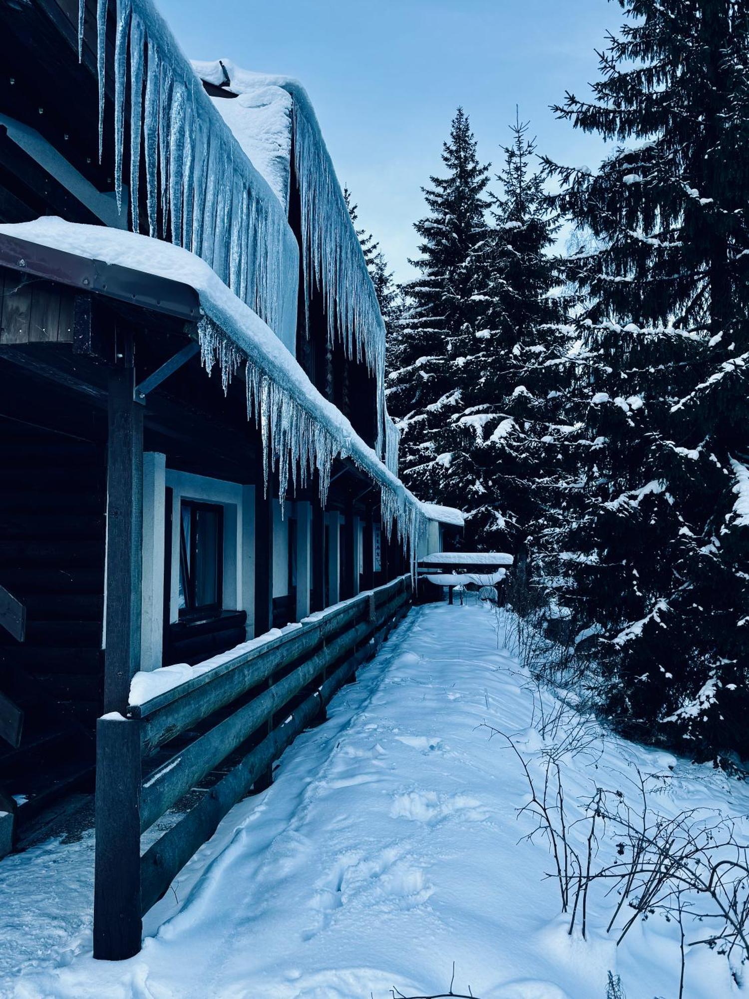 Hotel Myslivna Harrachov Exterior foto